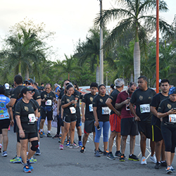 Carrera Arteli 2019