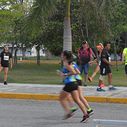 Carrera Arteli 2019