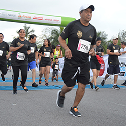 Carrera Arteli 2019