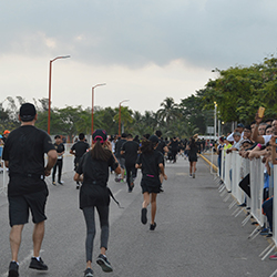 Carrera Arteli 2019