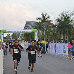 Carrera Arteli 2019