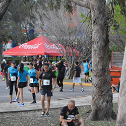 Carrera Arteli 2019