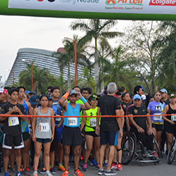 Carrera Arteli 2019