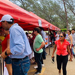 Carrera Arteli 2019