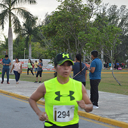 Carrera Arteli 2019