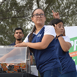 Carrera Arteli 2019