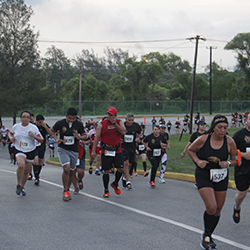 Carrera Arteli 2019