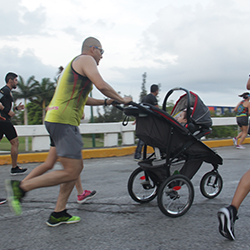 Carrera Arteli 2019