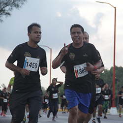 Carrera Arteli 2019