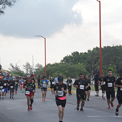 Carrera Arteli 2019