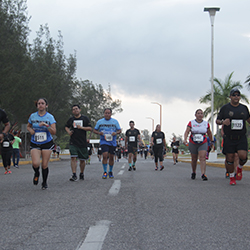 Carrera Arteli 2019