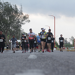 Carrera Arteli 2019