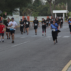 Carrera Arteli 2019