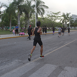 Carrera Arteli 2019