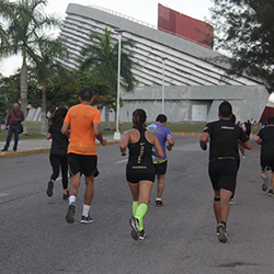 Carrera Arteli 2019