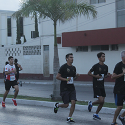 Carrera Arteli 2019