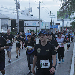 Carrera Arteli 2019