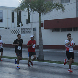 Carrera Arteli 2019