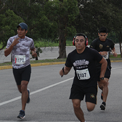 Carrera Arteli 2019