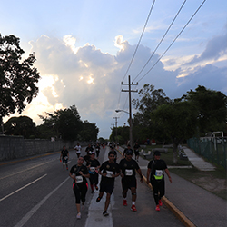 Carrera Arteli 2019