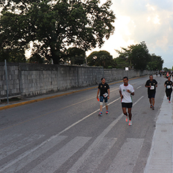 Carrera Arteli 2019