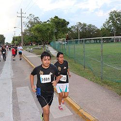 Carrera Arteli 2019