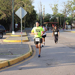 Carrera Arteli 2019