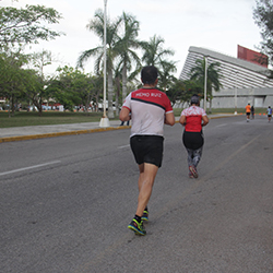 Carrera Arteli 2019