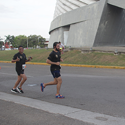 Carrera Arteli 2019