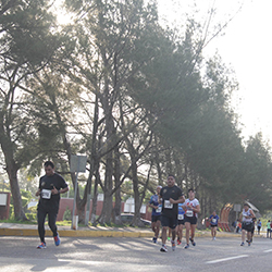 Carrera Arteli 2019