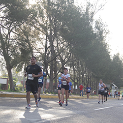 Carrera Arteli 2019