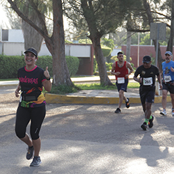 Carrera Arteli 2019