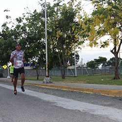 Carrera Arteli 2019