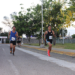 Carrera Arteli 2019