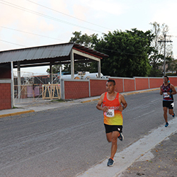 Carrera Arteli 2019