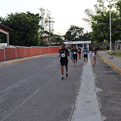 Carrera Arteli 2019