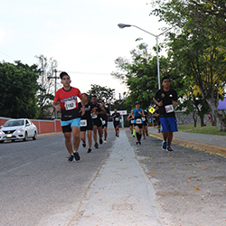 Carrera Arteli 2019