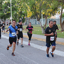 Carrera Arteli 2019