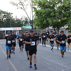 Carrera Arteli 2019