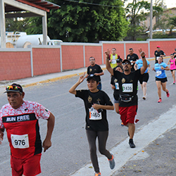 Carrera Arteli 2019