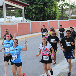 Carrera Arteli 2019